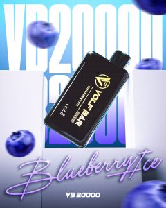 VB-20000-blueberry-DSC00500