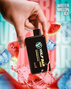 watermelon-ice-flavor-DSC00519-4x5-1